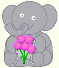 elefant