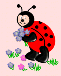 a little ladybug