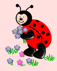 Ladybug