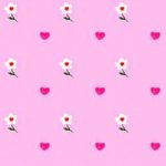 heart.jpg (3503 bytes)